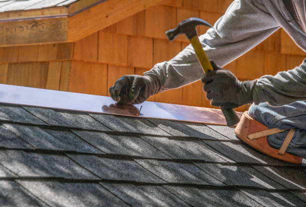 Best Sheet Metal Roofing  in Pumpkin Center, NC