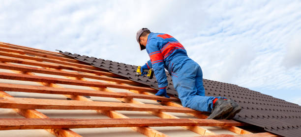 Best Roof Moss and Algae Removal  in Pumpkin Center, NC